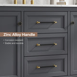 DELUXE LIVING 48 Inch Bathroom Vanity with Sink, Fully Assembled, Deep Grey