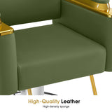 BarberPub Luxurious Salon Chair, Height Adjustable Gold&Green Salon Beauty Spa Styling Equipment, 440lbs Hydraulic Pump for Hair Stylist, Barber Shops&Beauty Salons 8633 (Green)