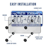 2 Pack Transparent License Plate Shield UV Protective Trim for Standard US Plates (12.2" x 6.3"), Gray
