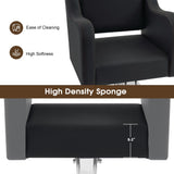BarberPub Classic Salon Chair for Hair Stylist,Hydraulic Barber Styling Chair,Beauty Salon Spa Equipment 3802 (Black)