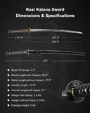 1095 Steel Imperial Dragon Katana for Display, Hand Forged Full Tang Sword