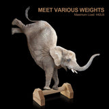 Push-up Stand, 2 PCS Wood Pushup Bars Non-Slip Base Exercise Home Workout Equipment, 30CM Wooden Parallettes Handle Stands Grip for Men Strength Training, Planks Calisthenics airogym