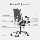 Branch Ergonomic Chair - A Versatile Desk Chair with Adjustable Lumbar Support, Breathable Mesh Backrest, and Smooth Wheels