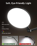 LitONES Desk Lamp for Home Office, Professional Video Call Light, CRI>98