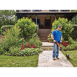 BLACK+DECKER 20V MAX* String Trimmer / Edger, 12-Inch (LSTE523)