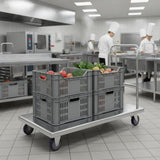 Stainless Steel Platform Cart. 24 in. Wide x 48 in. Long x 34 in. High. Push Dolly Flatbed Cart with Handle