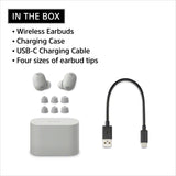 Sony WF-1000XM6 The Best Noise Cancelling Wireless Earbuds, Platinum Silver