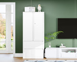 Letaya Metal Storage Cabinets for Home Office,File Cabinet-2 Drawers with Lock and Adjustable Shelves-Hang Legal/Letter/A4/F4 Size Filing-White