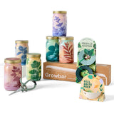 Modern Sprout Mason Jar Herb Garden Kit Indoor