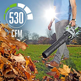 EGO POWER+ Leaf Blower, Cordless Electric 530 CFM, Includes 56V 2.5Ah Battery and Charger - LB5302
