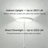 Modern Floor Lamp, Natural 10 AM Daylight Full Spectrum Standing Light for Bedroom Living Room Office, Double-Sided Illumination, Dual-Light Design, 7200LM, 4000K, White Floor Lamp, 36000+H Lifetime
