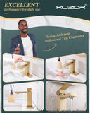 KUZOR Single Hole Bathroom Sink Faucet with Pop-Up Drain, Brushed Gold