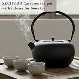 SECHUDO 67.6oz Cast Iron Teapot for Stovetop Safe, Black Japanese Tetsubin Tea Kettle with Stainless Steel Infuser for Loose Leaf, Coated with Enameled Interior