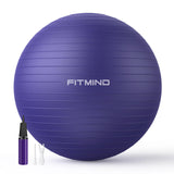 FITMIND_ Extra Thick Exercise Ball Yoga Ball 22in/26in/30in for Workout Pregnancy Stability,Anti-Burst and Slip Resistant Swiss Ball with Pump for Yoga, Pilates, Fitness,Birthing,Physical Therapy