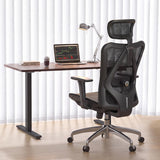 SIHOO M57 Ergonomic Office Chair, Mesh Back Desk Chair with 3D Armrests