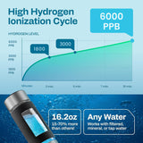 Energilz Hydrogen Water Bottle | 16.2 oz (480 ml) Hydrogen Water Generator | 6000 PPB Hydrogenator Machine | SPE/PEM Ionizer Generator (Silver)