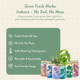 Modern Sprout Mason Jar Herb Garden Kit Indoor