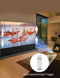 IN&VI 100" Fresnel Floor Rising Projector Screen Motorized for Long/Standard Projector,Motorized Projector Screen 4K/8K Ultra HD 3D Active,Movie Screen for Home Theater,90% Ambient Light Rejecting