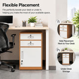 2 Drawer File Cabinet with Lock, Metal Filing Cabinet Document Organizer