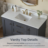 DELUXE LIVING 48 Inch Bathroom Vanity with Sink, Fully Assembled, Gray