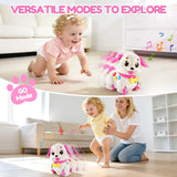 LUDILO Musical Puppy Toys for 1 Year Old Girl Gifts, Learning Educational Crawling Infant Baby Toy 6-12-18 Months, Pull Along Baby Toddler Girl Toys Gifts for 1 2 3 Year Old Girls 1st Birthday Present
