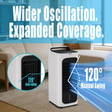 SAYDSI Electric 2-in-1 Cooling Tower Fan & Heater Combo used in Summer and Winter for Bedroom Home Office Large Room with Ice Packs,Water Tank,Timer(White)