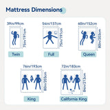 Amazon Basics Memory Foam Mattress, Soft Plush Feel, Breathable, 12 Inch, Queen, White/Grey