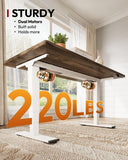 SANODESK Dual Motor Standing Desk 220lbs Height Adjustable Desk