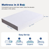 Amazon Basics Medium Firm Memory Foam Mattress, Breathable, 8 Inch, Full, White/Grey