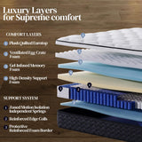 Queen Mattress 12 Inch,Medium Firm Hybrid Queen Size Mattress in a Box, Memory Foam with Individual Pocket Springs, Upgrade Zoned Support, Motion Isolation&Pressure Relief, CertiPUR-US