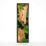 Handmade Preserved Moss Wall Art with Solid Cedar Wood Frame, 100% Real Moss Wall Decor, Maintenance-Free Greenery Art for Modern Office & Home, Unique Vertical Nature Art Gift 1 Piece, 14" x 30"