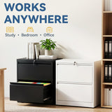 SAWJEC 2 Drawer File Cabinet with Lock, White Metal Lateral Filing Cabinet