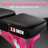 RitFit Adjustable/Foldable Utility Weight Bench for Home Gym, Weightlifting and Strength Training - Bonus Workout Poster with 35 Total Body Exercises, PINK