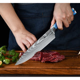 Dfito Chef Knife Sets with Roll Bag, 9 Pieces Professional Knife Set, High Carbon Stainless Steel Kitchen Chef Knife Set, Blue Resin Handle, Dishwasher Safe