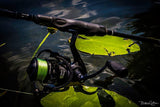 Piscifun Carbon X Spinning Reels, Light to 5.7oz, 5.2:1 Low Speed Gear Ratio, Carbon Frame and Rotor, 10+1 Shielded BB, Smooth Powerful Freshwater Spinning Fishing Reel, 1000 Series