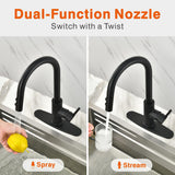 RULIA Kitchen Faucet, Kitchen Sink Faucet, Sink Faucet, Pull-Down Kitchen Faucets, Bar Kitchen Faucet, Matte Black, Metal Spray Head, RB1031