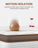 BedStory Queen Size Mattress - 14 Inch Hybrid Mattresses with Orthopedic Spinal Support & Motion Isolation - Individually Pocketed Springs, CertiPUR-US Certified Memory Foam