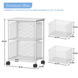 Sbanmao Letter/Legal Rolling File Cabinet, Rolling File Cart with 2 Drawers Filing Cabinet for Home Office, Hanging File Folders Organize, White