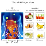 Hydrogen Water Bottle, Hydrogen Water Generator Gifts for Mom, Portable Hydrogen Water Ionizer Machine WUGOSU