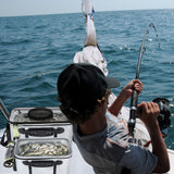 WHCDSTGJ Transparent Lid Fishing Bucket, Portable Foldable Fishing Bucket, Bait Bucket, Fish Bucket, Live Bait Storage. (4 gallons)