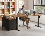 Executive Sit Stand Desk, Height Adjustable Computer Desk for Home Office, Writing, Workstation