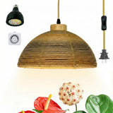 Vellina 40W Boho Rattan Hanging Grow Light, Full Spectrum Pendant Light for Indoor Plants, 15ft Plug-in Cord & Mechanical Timer, Wabi-Sabi Decor for Monstera, Fiddle Leaf Fig & Tall Plants