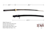 Hand Forged 1095 High Carbon Steel Aeolus Katana Full Tang Sword