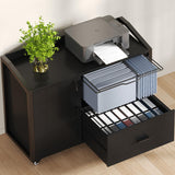 HSH File Cabinet with Wheels with Locks,Black Mobile Filing Cabinet for Legal/Letter Size, Wood Metal Printer Stand with Shelves