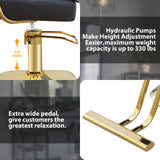 WINEDYOUNG Stylist Chairs for Salon, 360 Degree Rotating Barber Chair Hydraulic Pump Salon Chair, Spa Beauty Equipment for Hair Stylists, Tattoo Artists, Cosmetologists (Gold)