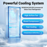 BODEGACOOLER Commercial Beverage Refrigerator, 290L Display Fridge with Soft LED Light, 264 Cans & 120 Bottles Commercial Merchandiser Refrigerator