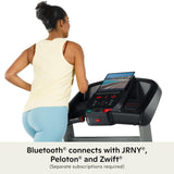 Schwinn Fitness SFT4.3 Treadmill