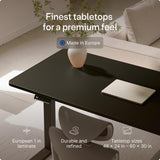 Desktronic HomeOne Standing Desk 54x28 — Ergonomic Sit Stand Home Office Desk, Made in Europe