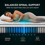Manchot Signature Queen 12 Inch Firm Hybrid Mattress Reinforced Center Support, No Sink in the Middle, Breathable Comfort with Dupont Fiber, Back & Stomach Sleepers