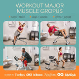 Lifepro Roman Chair Hyperextension Bench - Adjustable Back Extension Machine for Glutes, Hamstrings, and Lower Back - Foldable Multipurpose Exercise Equipment